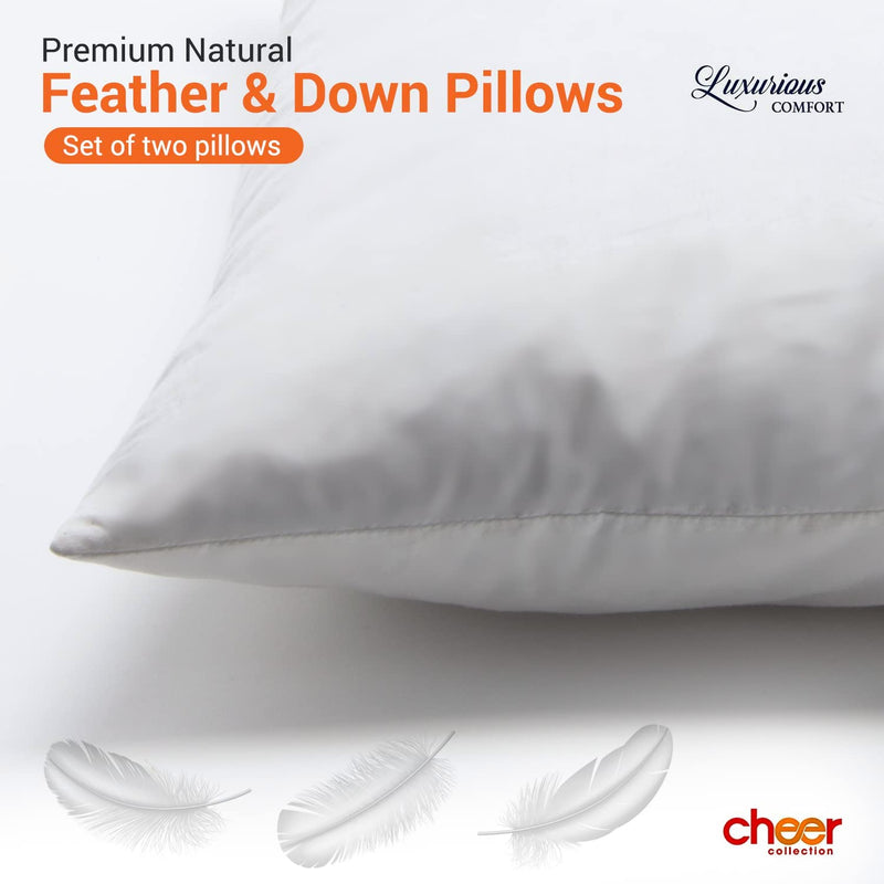 Plain Throw Pillows Decorative Pillow Insert Square Throw Pillow Inserts 2  Pack Premium Down Alternative Polyester Pillow Cushion Sham Stuffer for