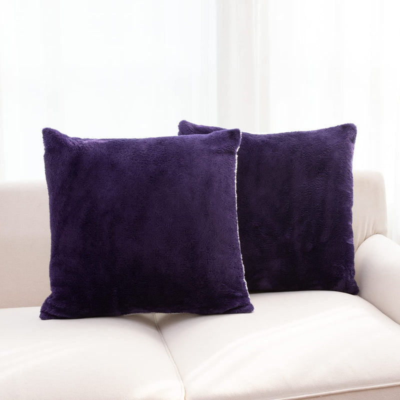 Cheer Collection Set of Down & Feather Throw Pillow & Couch